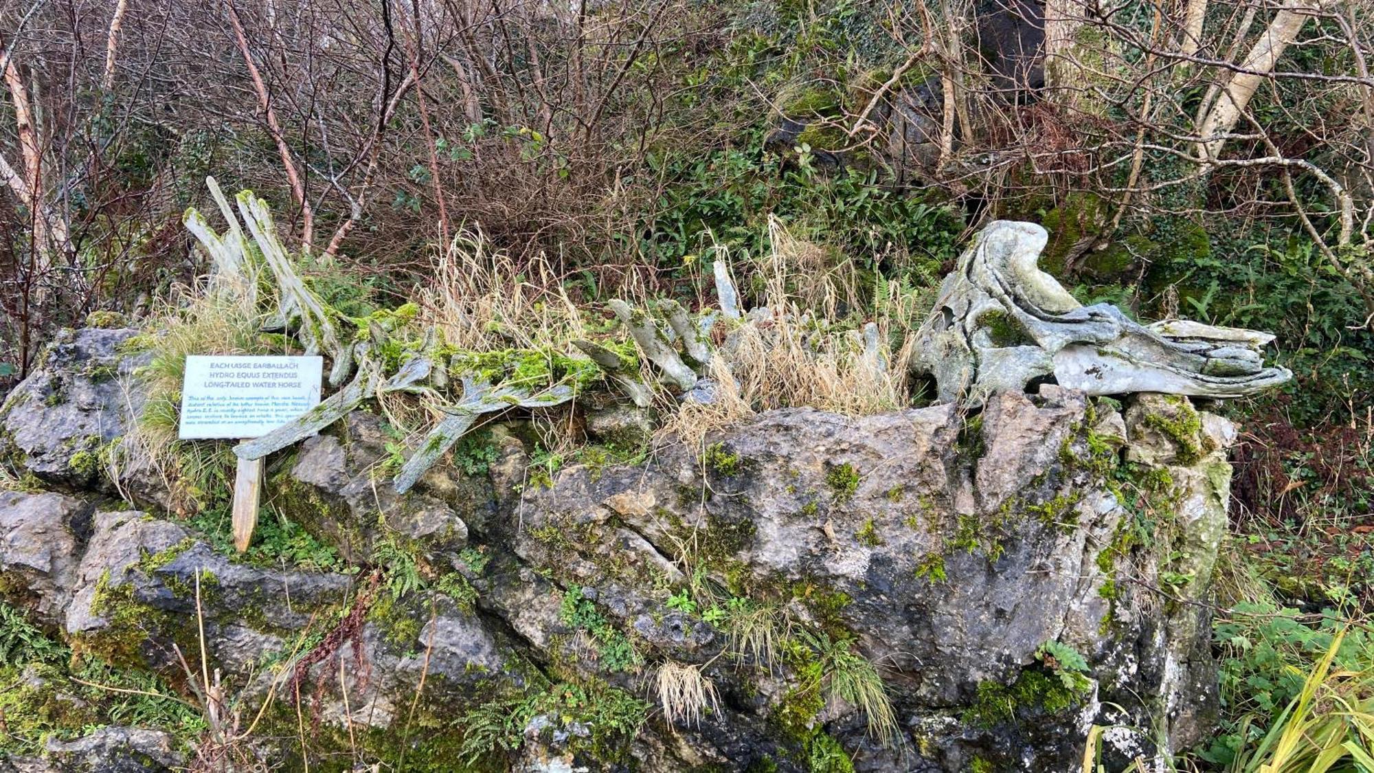 Carnmhor, Isle Of Skye - Stunning 242 Year Old Cottage On Its Own Sea Shore! Breakish Exteriér fotografie