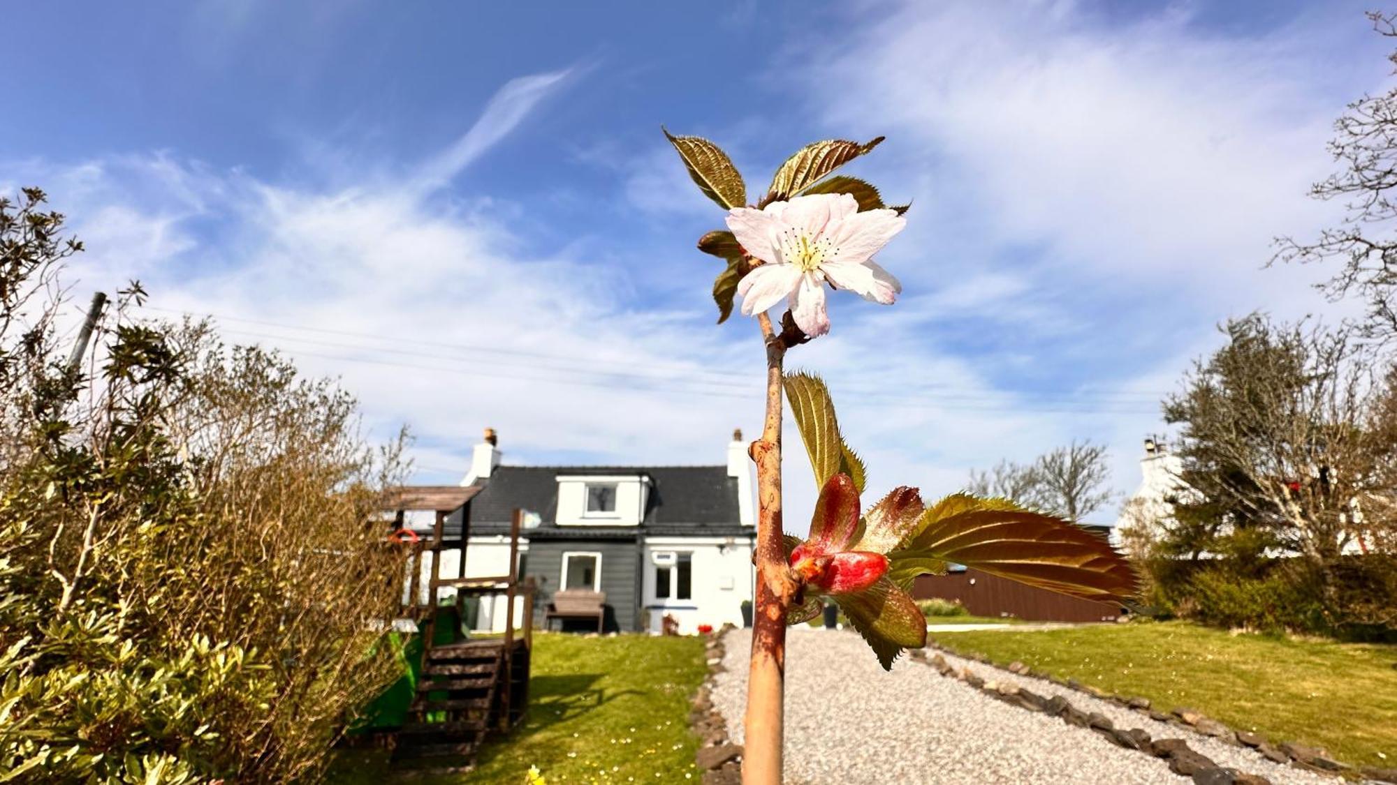 Carnmhor, Isle Of Skye - Stunning 242 Year Old Cottage On Its Own Sea Shore! Breakish Exteriér fotografie